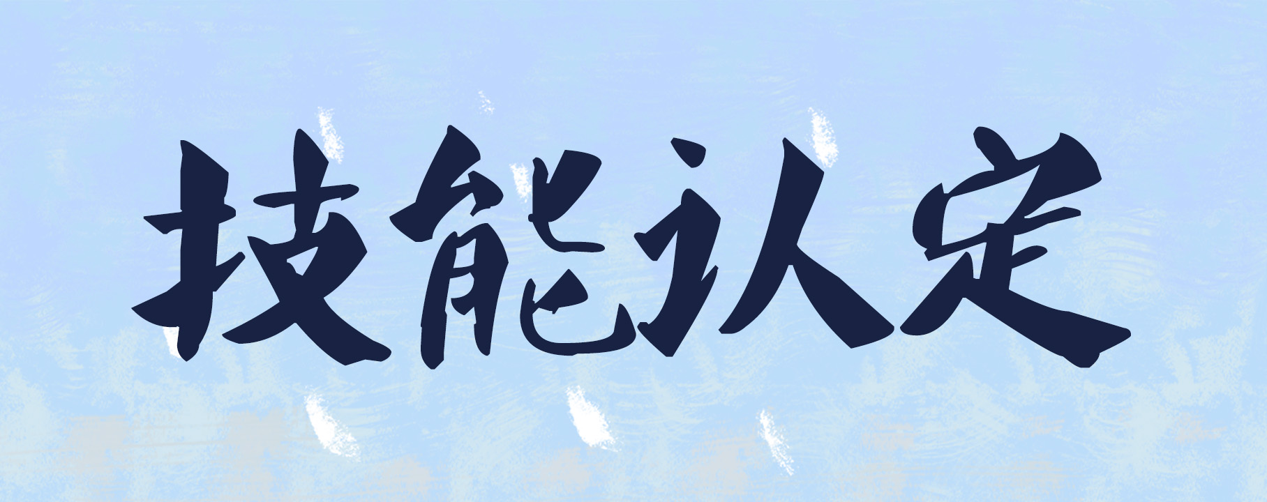 甘肃中职 | 甘肃省2025年社会培训评价组织职业技能等级认定计划公告